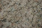  Hot-washed PET flakes, 3mm - 2